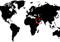 click on the rectangle